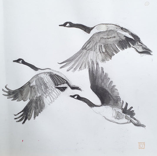 "3 Geese" Sketch