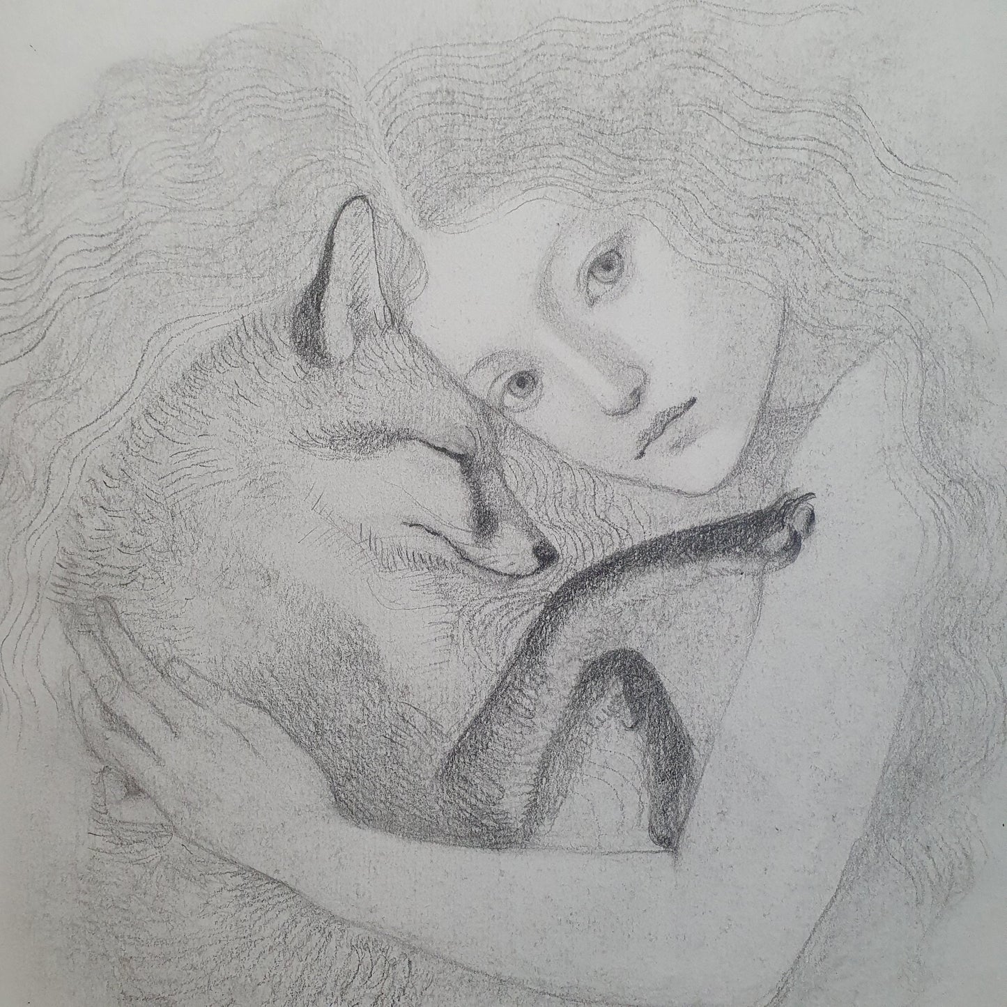Amber sketch