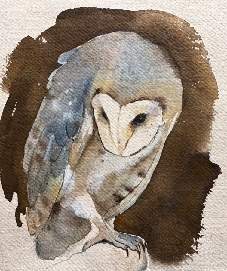 Barn Owl study 2 - sepia