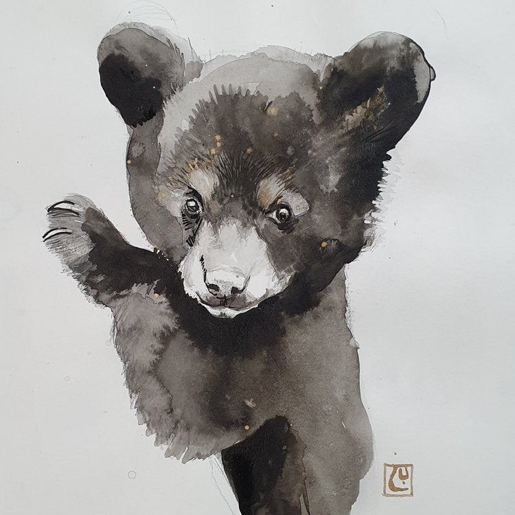 Black bear baby #2