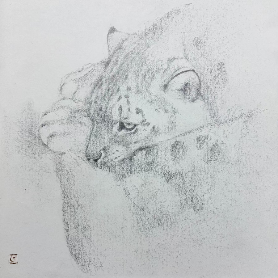 Ghost of the Mountain sketch