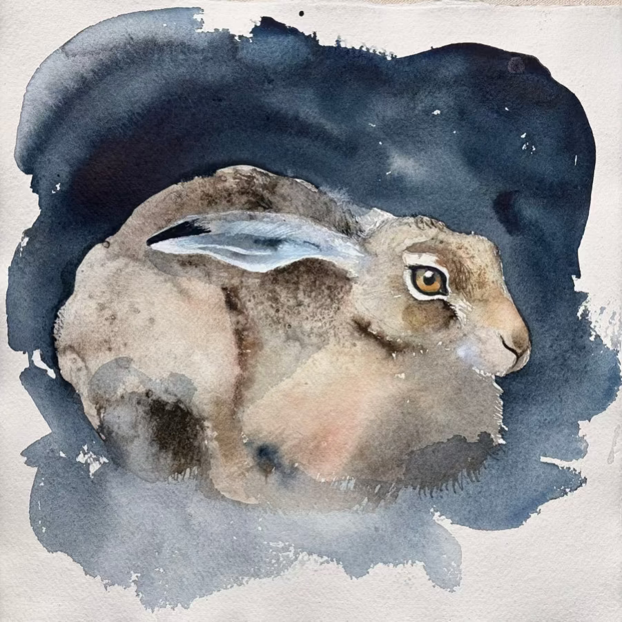 Hare on Indigo