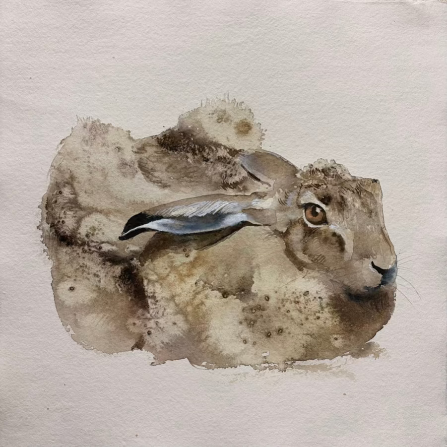 The Art of Stillness