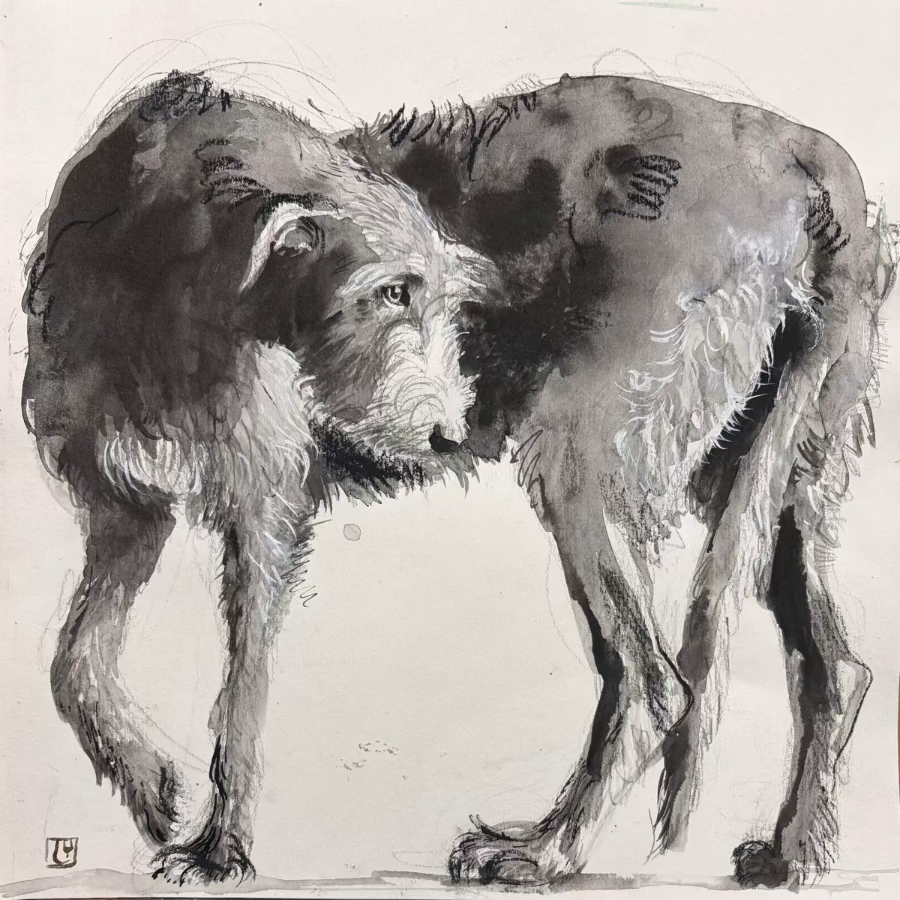 Wolfhound sketch