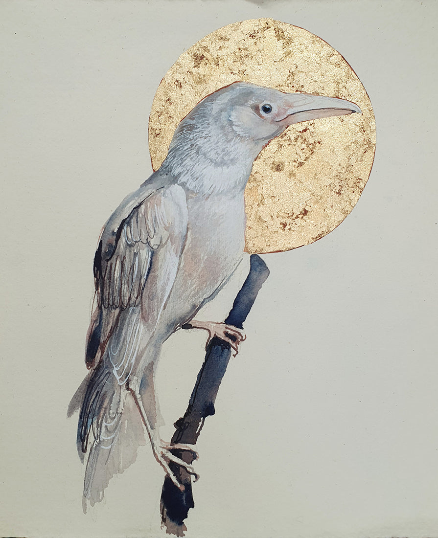 Albino Moon