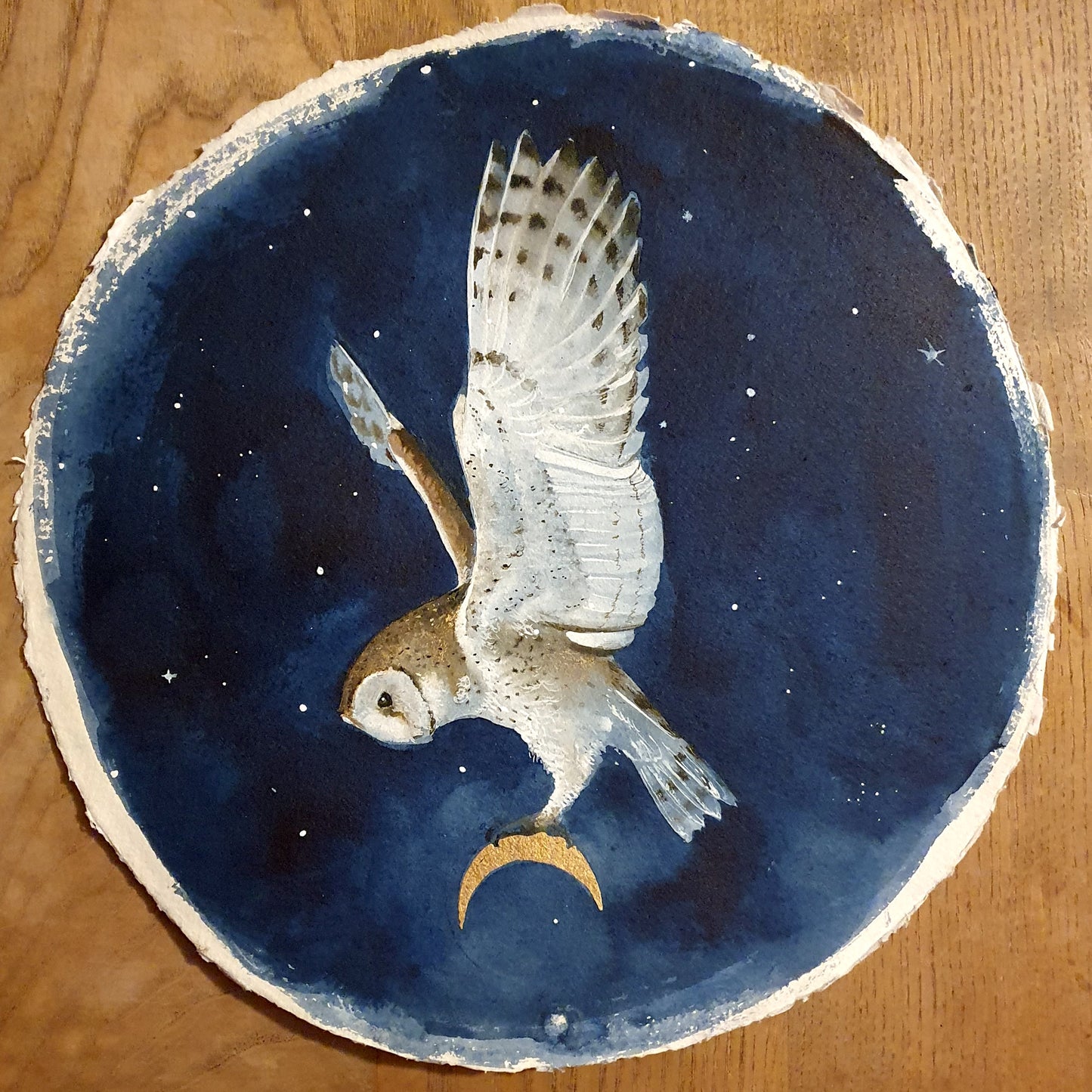 Barn owl on indigo