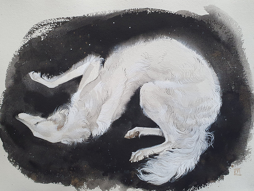 Borzoi beauty