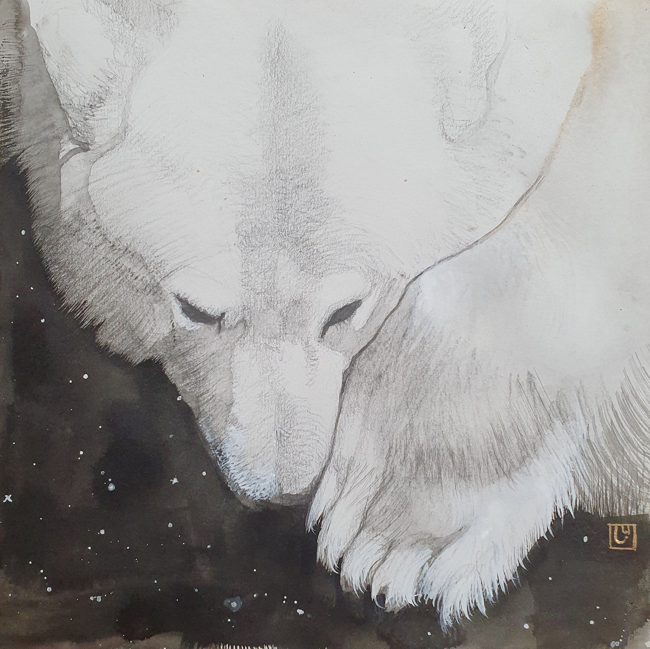 "Cosmic Bear"