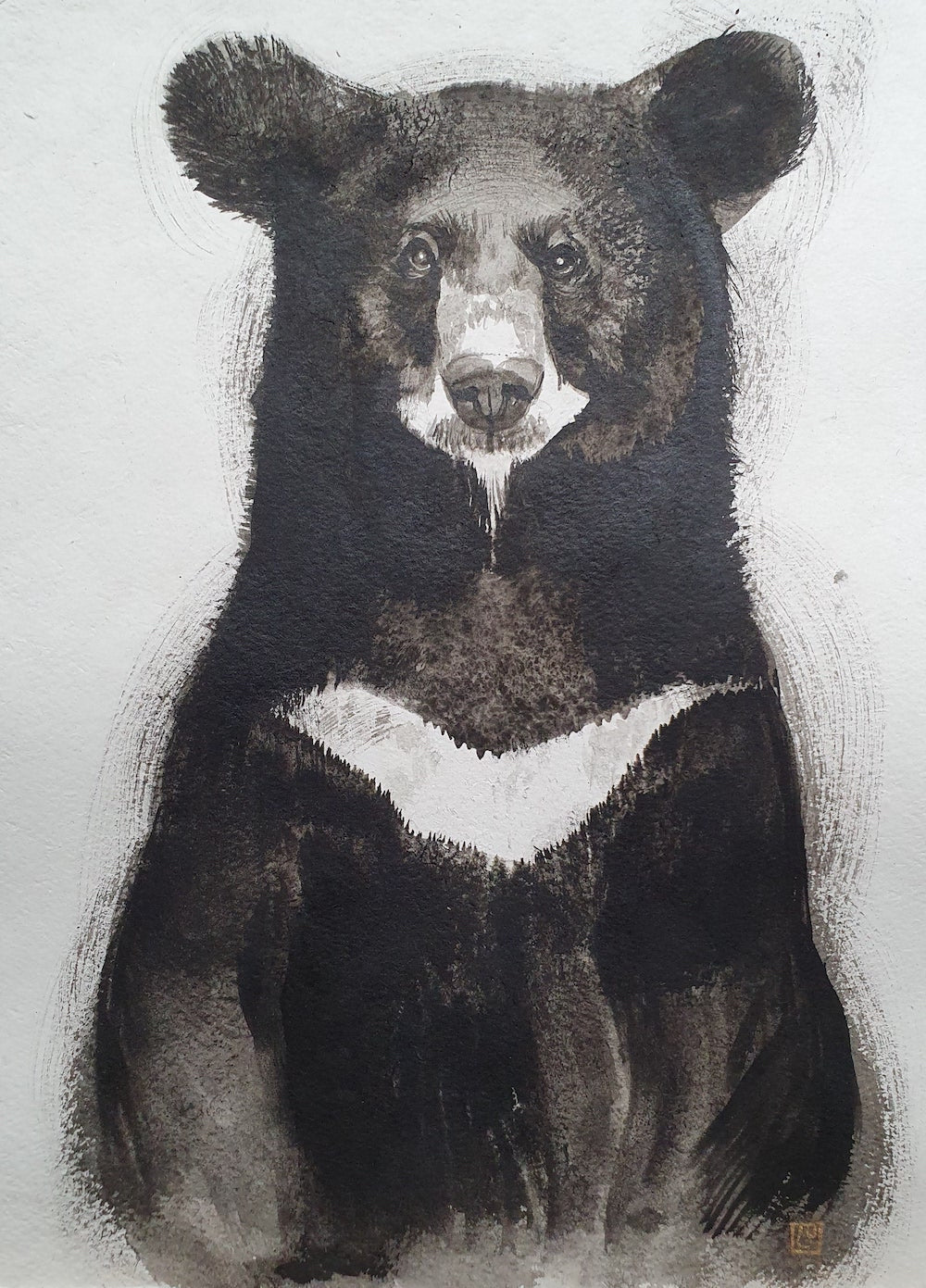 "Asian Black Bear"