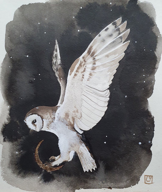 "Barn Owl" Sketch