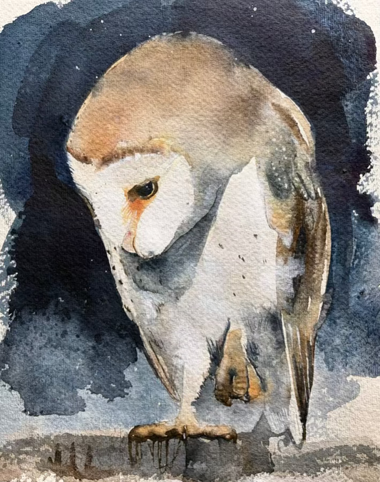 Barn Owl study 1 - indigo