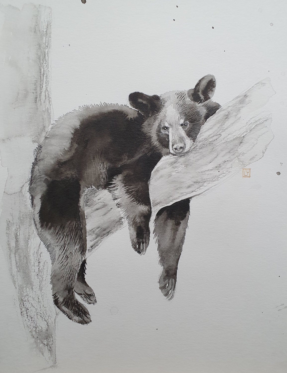 Bear in a Tree