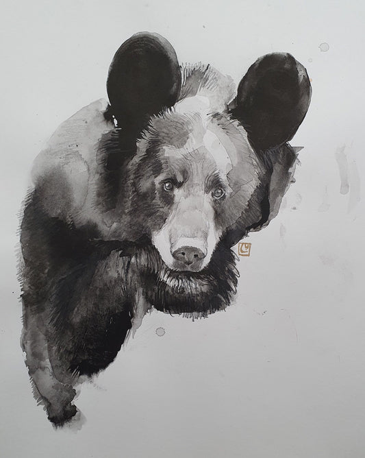 "Black Bear" Sketch #1