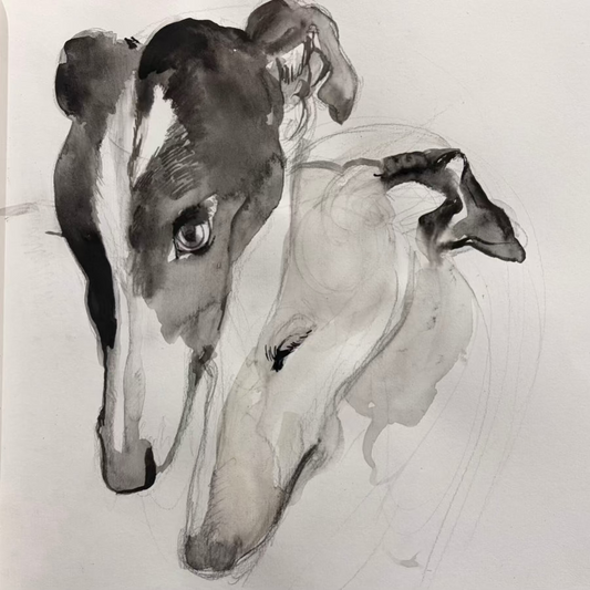 Dos Galgos