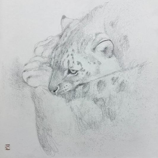 Ghost of the Mountain sketch