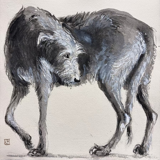Dream Dog