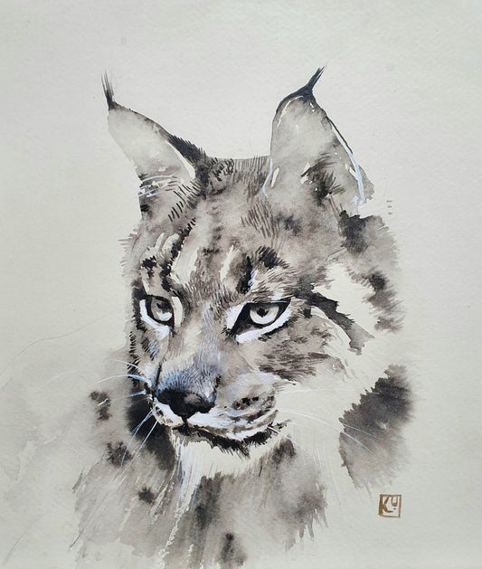 Lynx sketch