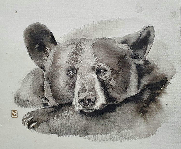 Pensive Bear