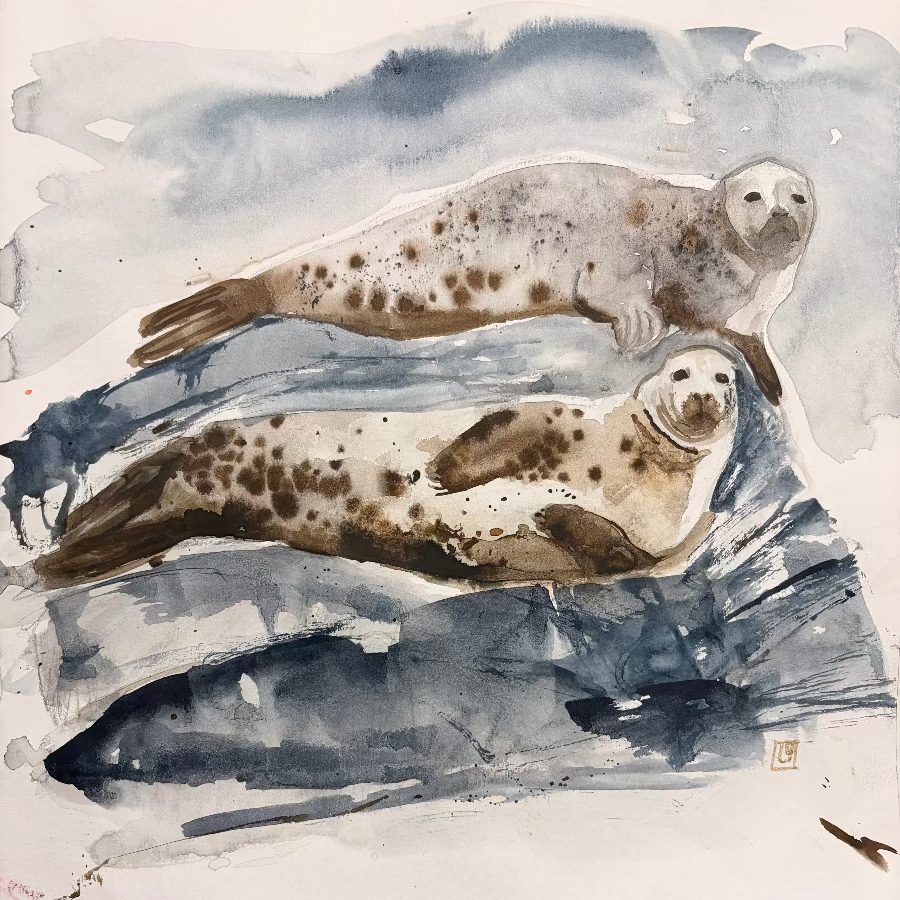 Two grey seals reclining