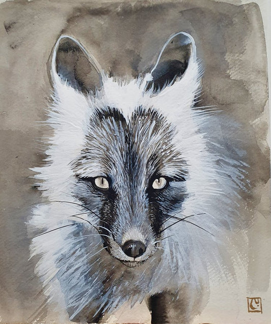 Whiskers - arctic fox sketch