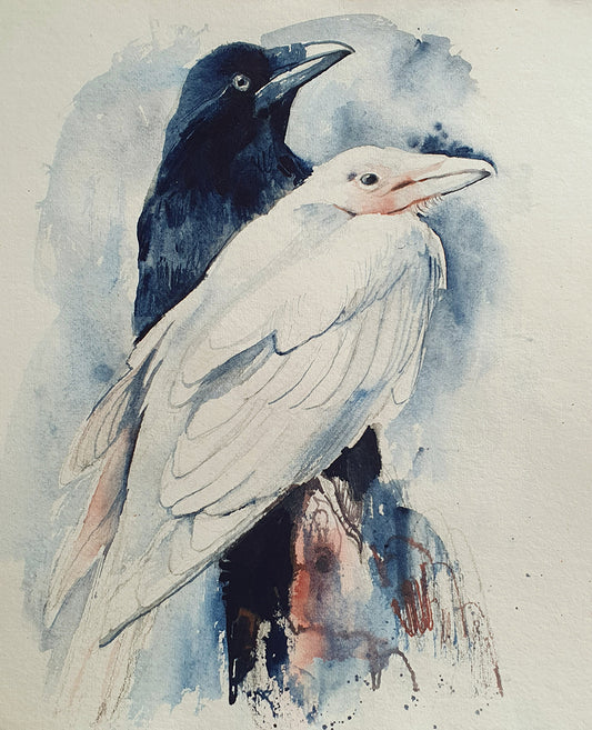 Birds of a Feather