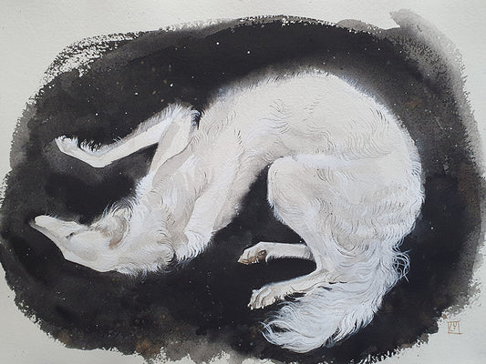 Borzoi beauty
