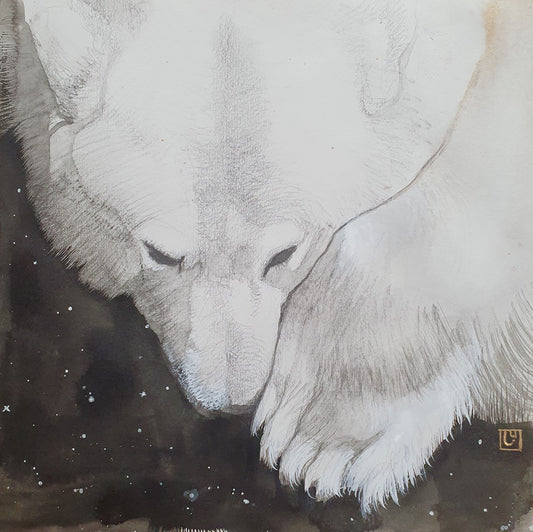"Cosmic Bear"