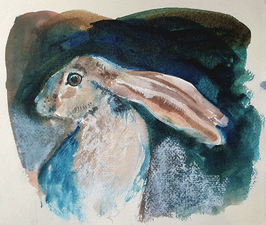 Hare in the headlights