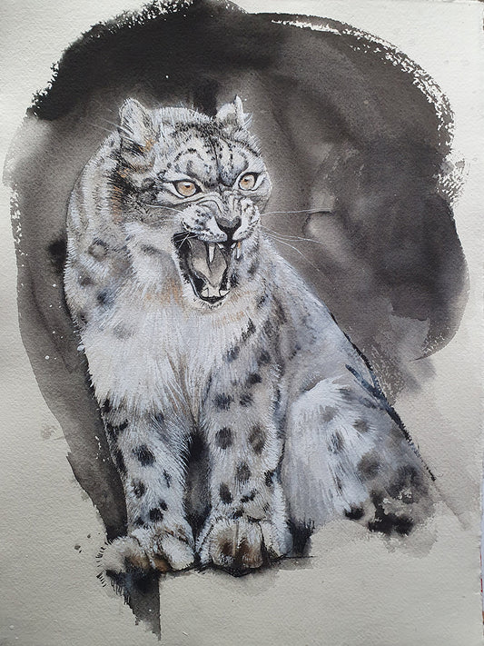Hissing snowleopard