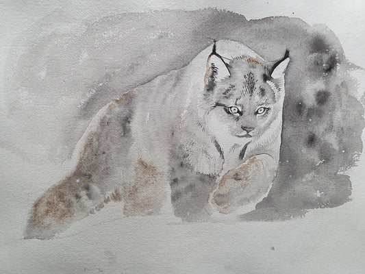Lynx study