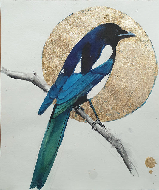 Magpie brings us tidings