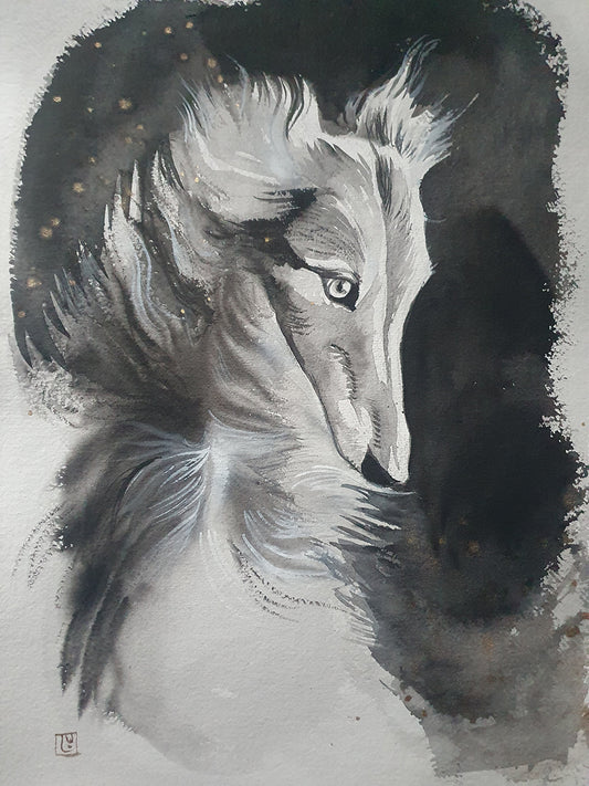 Saluki study 1