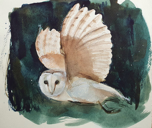 Silent flight