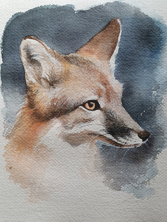 Swift fox