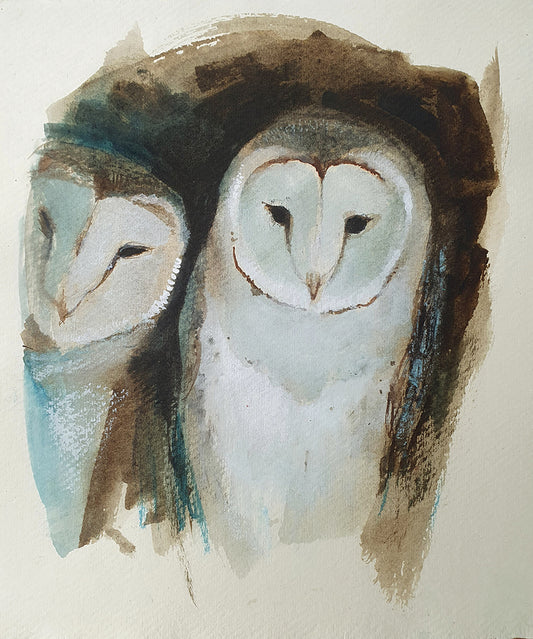 Two young barn owls